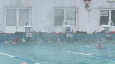 В Пензе у юных пловцов начались сборы в открытом бассейне