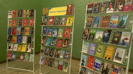 В Лермонтовке организовали выставку новых книг