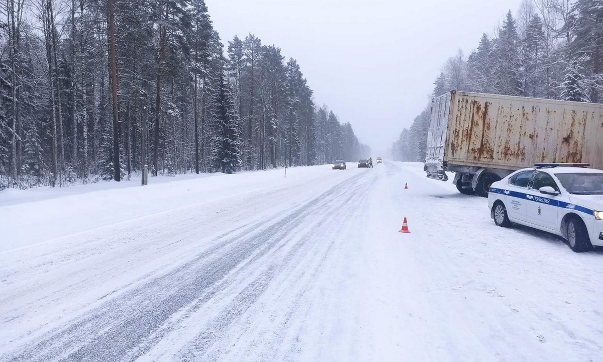 Женщина погибла в ДТП с грузовиком на трассе в Карелии