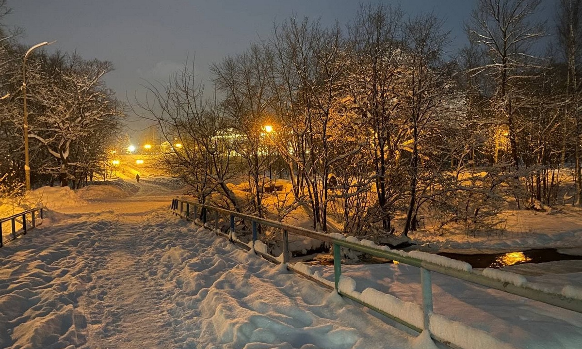 МЧС: снег будет идти всю ночь в двух районах Карелии
