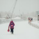 МЧС: штормовой ветер и снегопад обрушатся на Карелию МЧС: штормовой ветер и снегопад обрушатся на Карелию